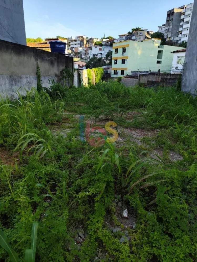 Terreno, 245 m² - Foto 3