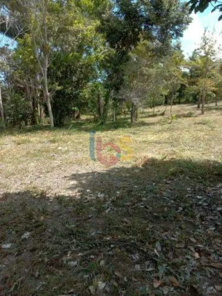 Sítio, 4 quartos, 4 hectares - Foto 4