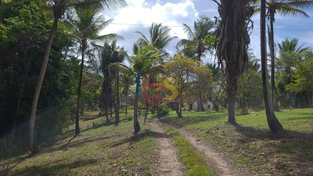 Sítio, 4 quartos, 4 hectares - Foto 3