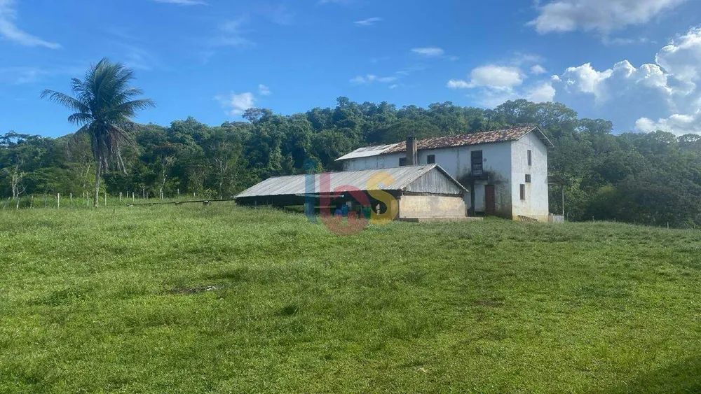 Sítio, 145 hectares - Foto 12