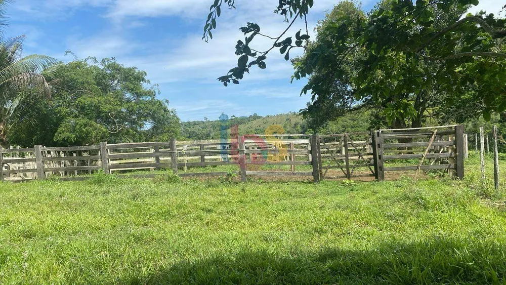 Sítio, 145 hectares - Foto 11