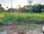 Terreno, 200 m² - Foto 3