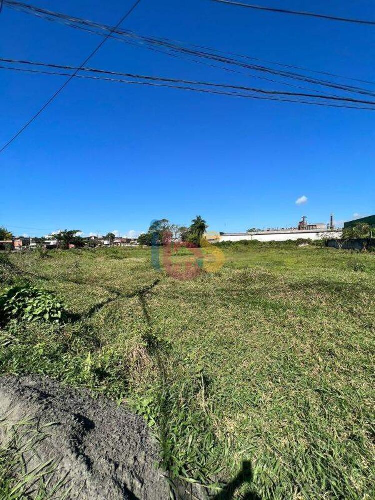 Terreno, 4827 m² - Foto 6