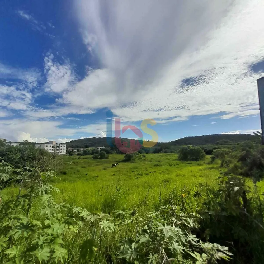 Terreno, 2 hectares - Foto 9