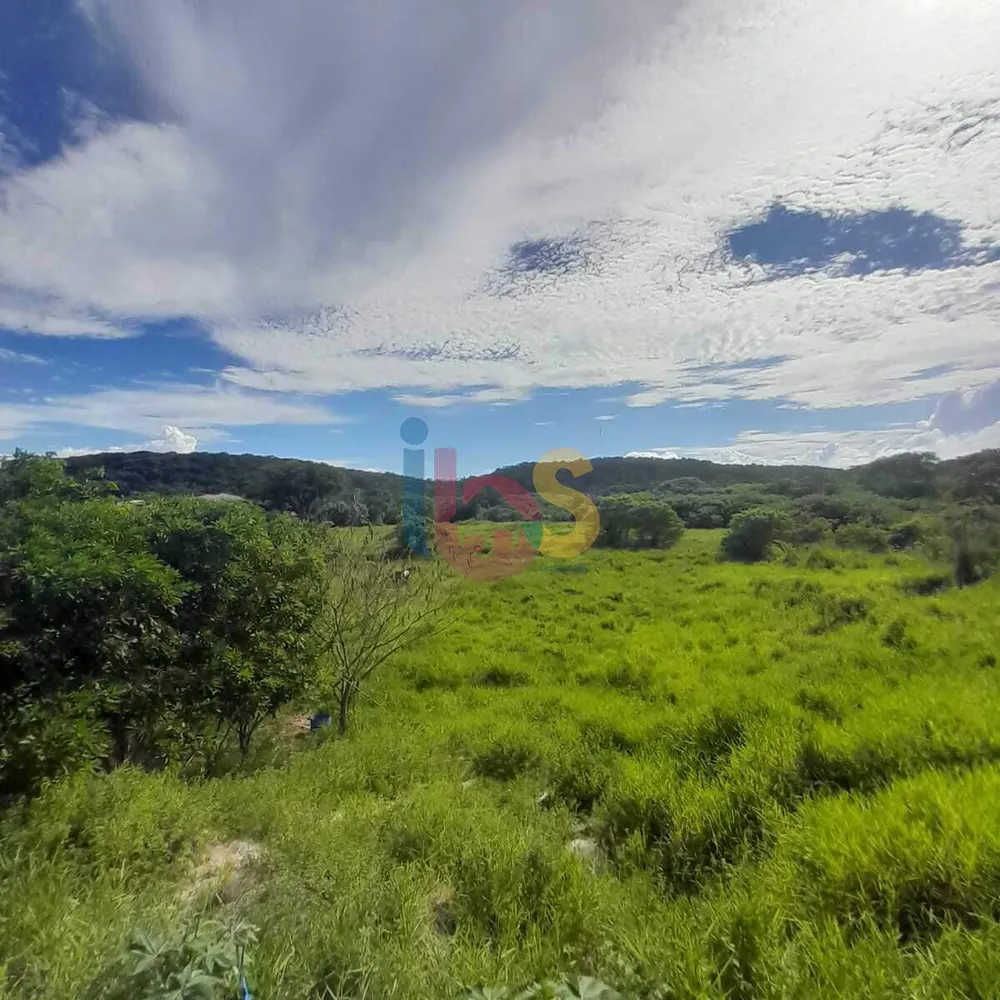 Terreno, 2 hectares - Foto 4