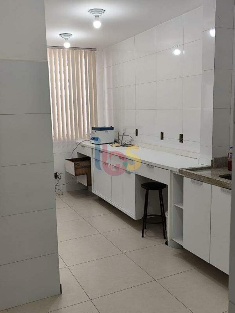 Casa, 5 quartos, 260 m² - Foto 4