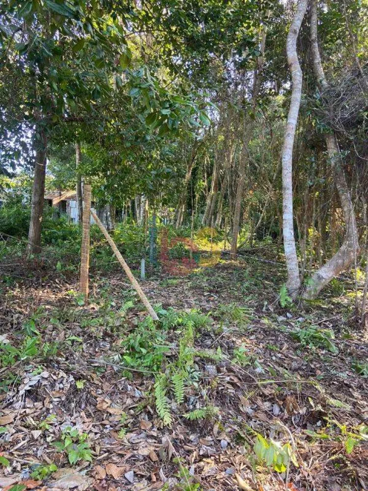 Terreno, 1000 m² - Foto 2