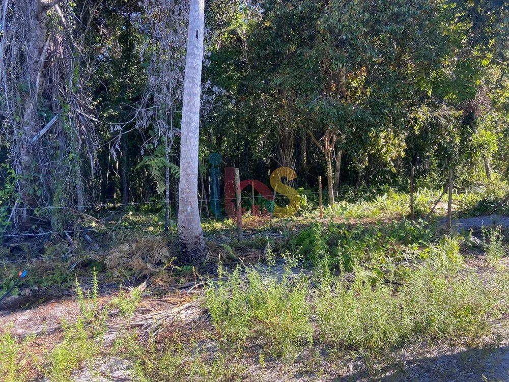Terreno, 1000 m² - Foto 3