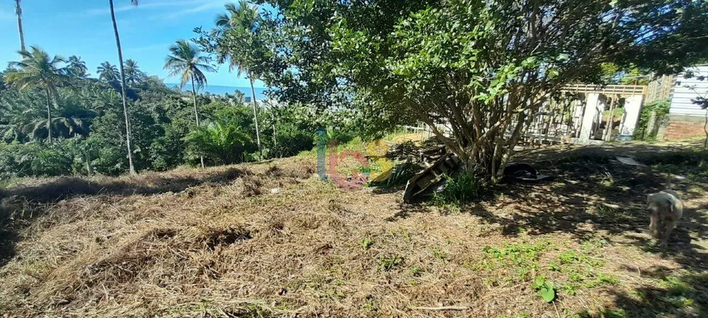 Terreno, 600 m² - Foto 11