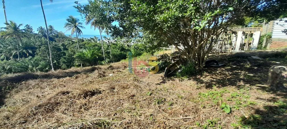 Terreno, 600 m² - Foto 9
