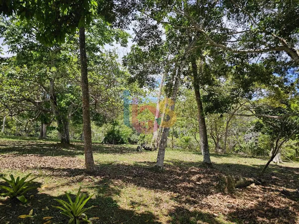 Terreno, 5000 m² - Foto 16