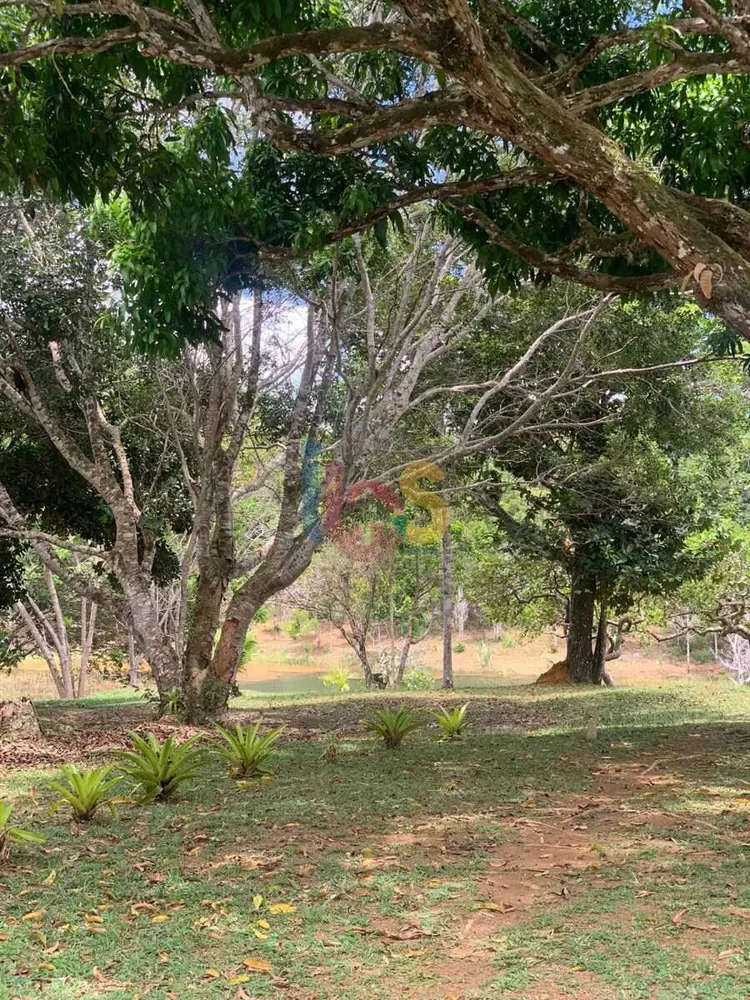 Terreno, 5000 m² - Foto 1
