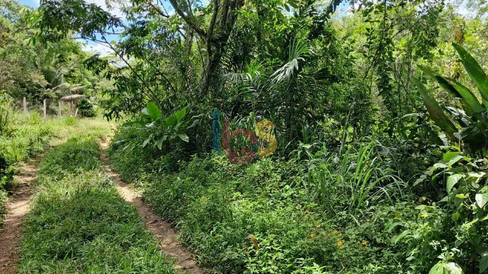 Terreno, 15 hectares - Foto 11
