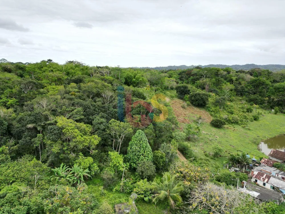 Terreno, 15 hectares - Foto 9