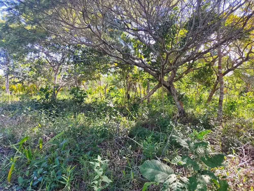 Terreno, 800 m² - Foto 3
