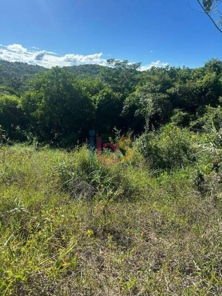 Terreno, 450 m² - Foto 5