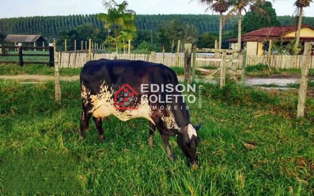 Fazenda, 600 hectares - Foto 14