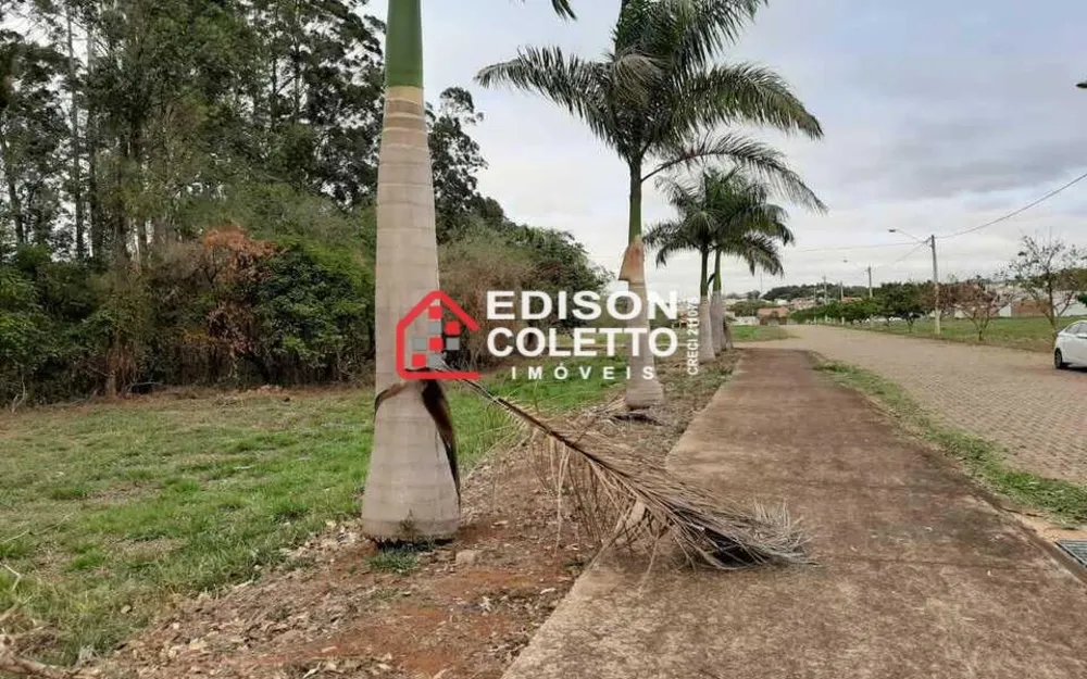 Terreno, 286 m² - Foto 7