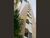 Flat/Apart Hotel, 1 quarto, 35 m² - Foto 7