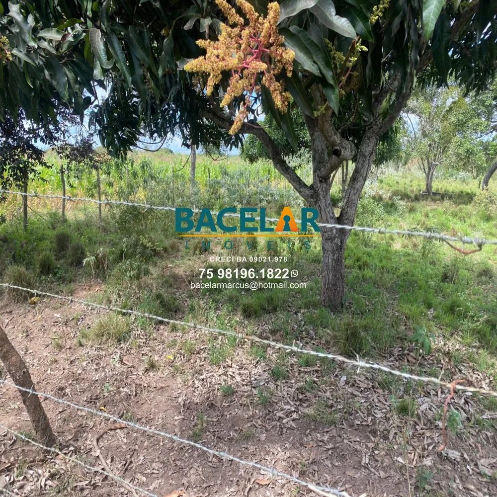 Chácara, 4 quartos, 1 hectares - Foto 15