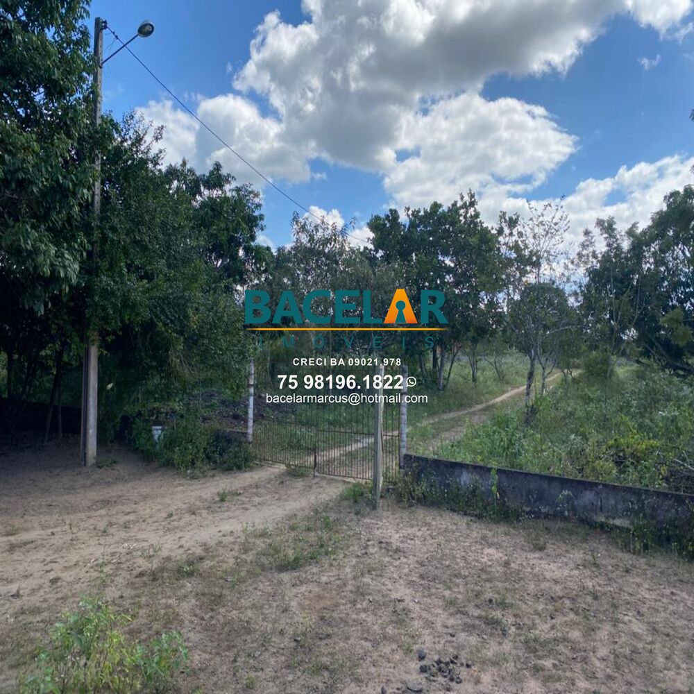 Chácara, 4 quartos, 1 hectares - Foto 4