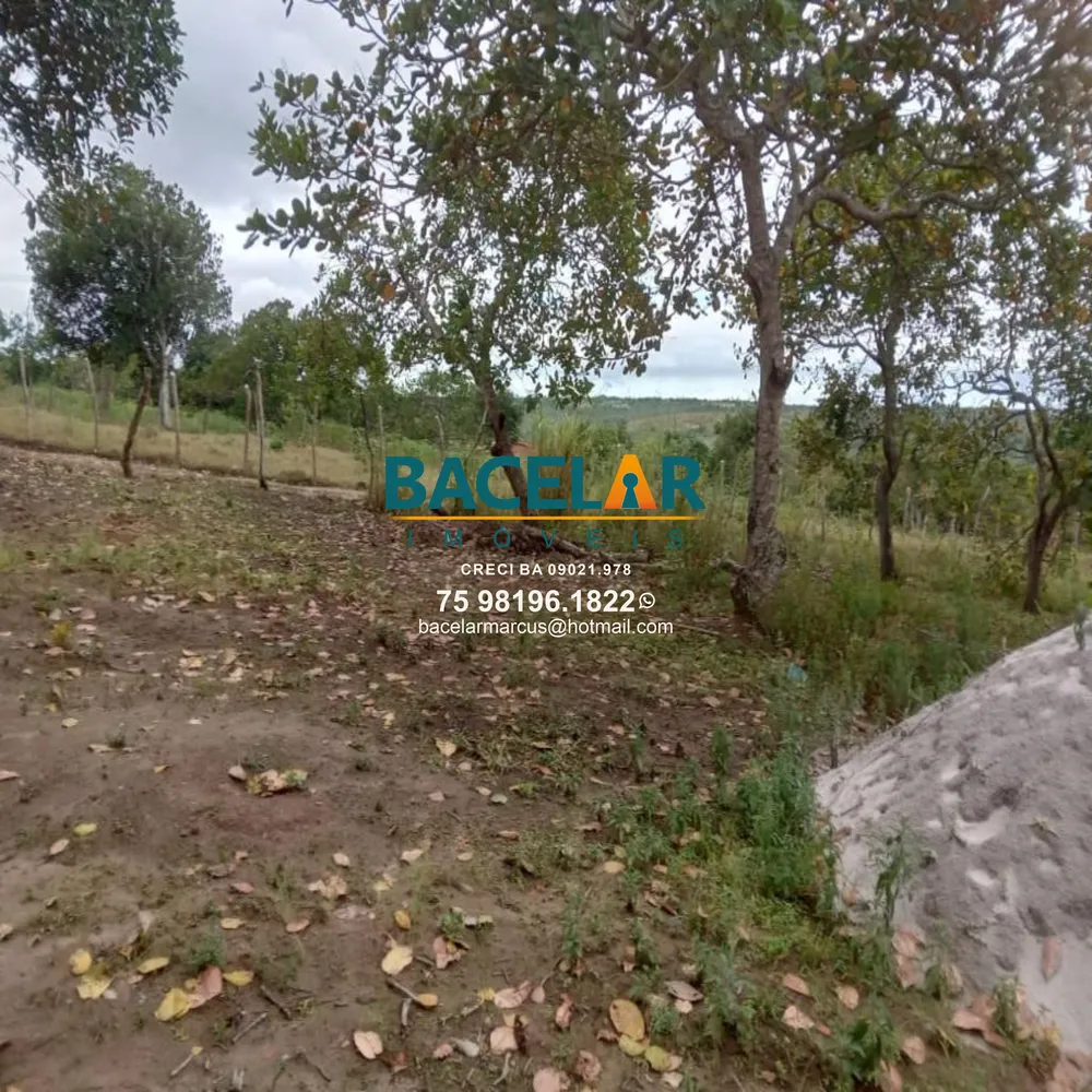 Chácara - Foto 6