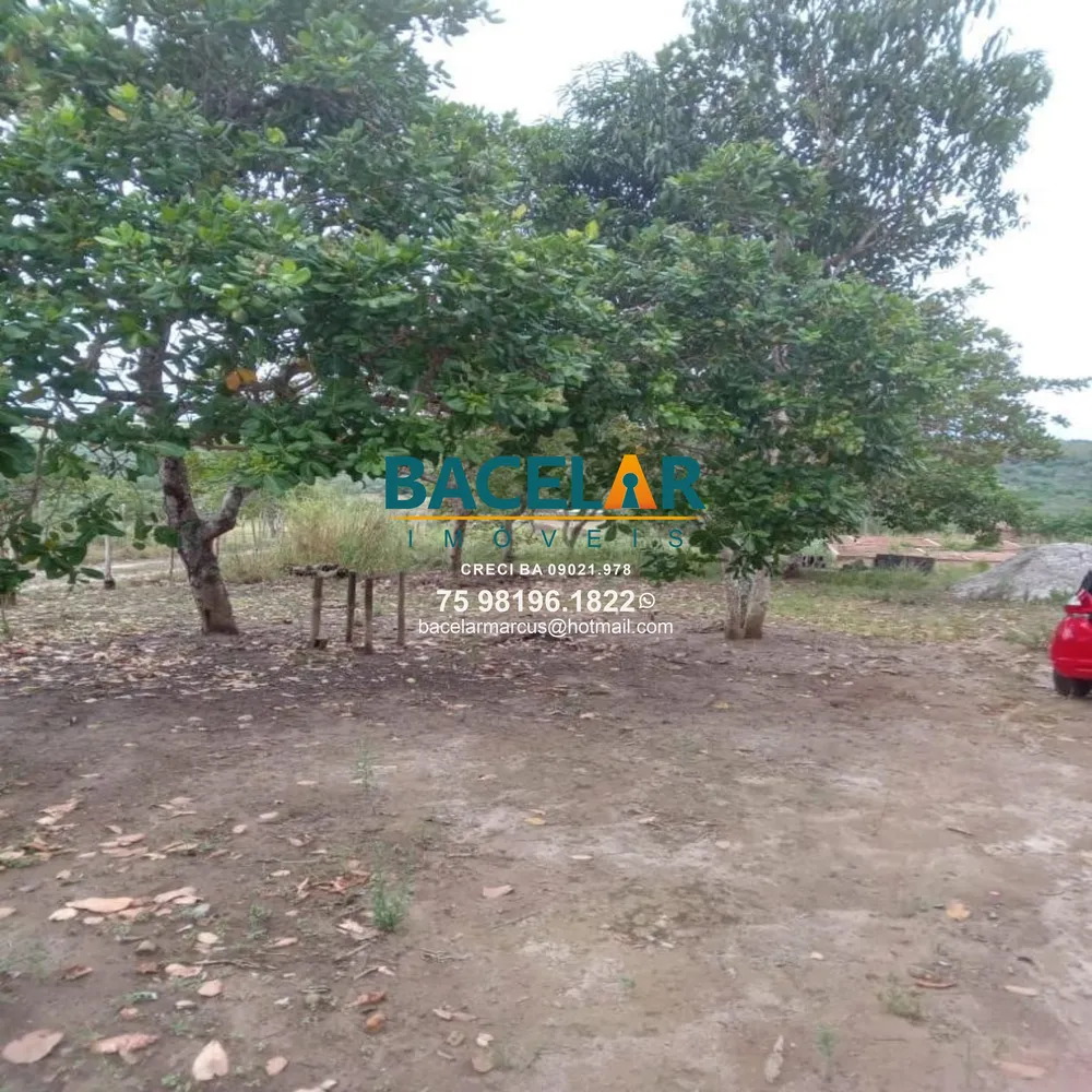 Chácara - Foto 8