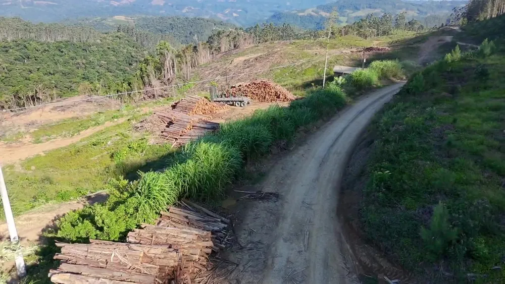 Fazenda, 62 hectares - Foto 19