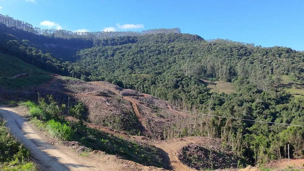 Fazenda, 62 hectares - Foto 10