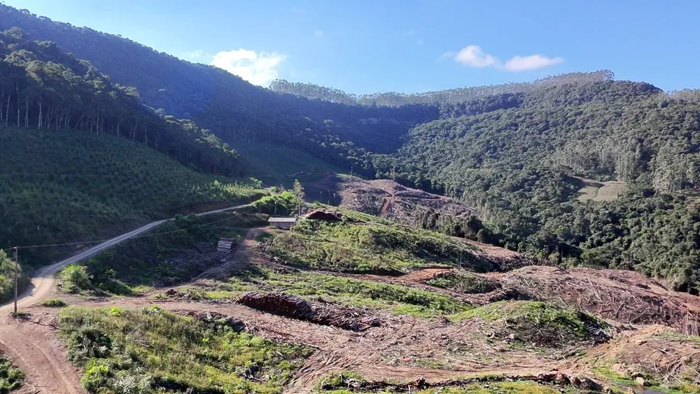 Fazenda, 62 hectares - Foto 6