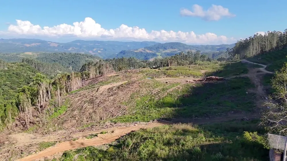 Fazenda, 62 hectares - Foto 7