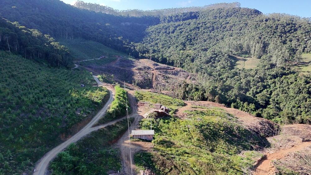 Fazenda, 62 hectares - Foto 5