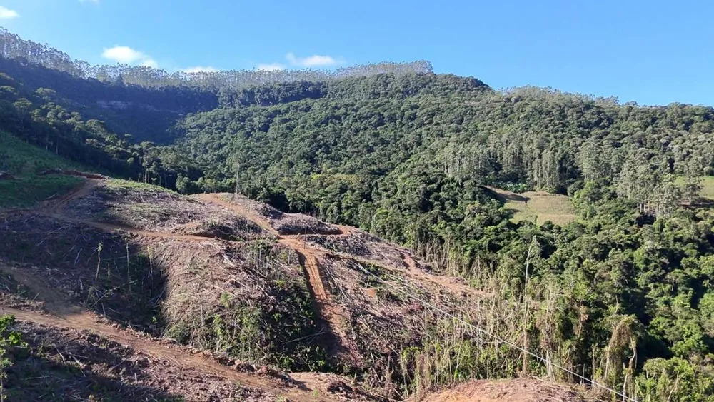 Fazenda, 62 hectares - Foto 11