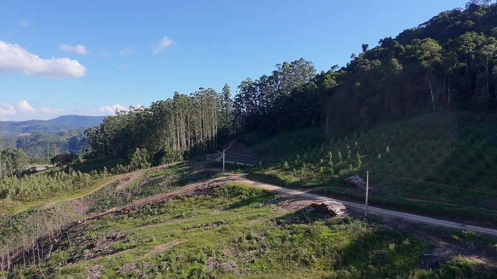 Fazenda, 62 hectares - Foto 16