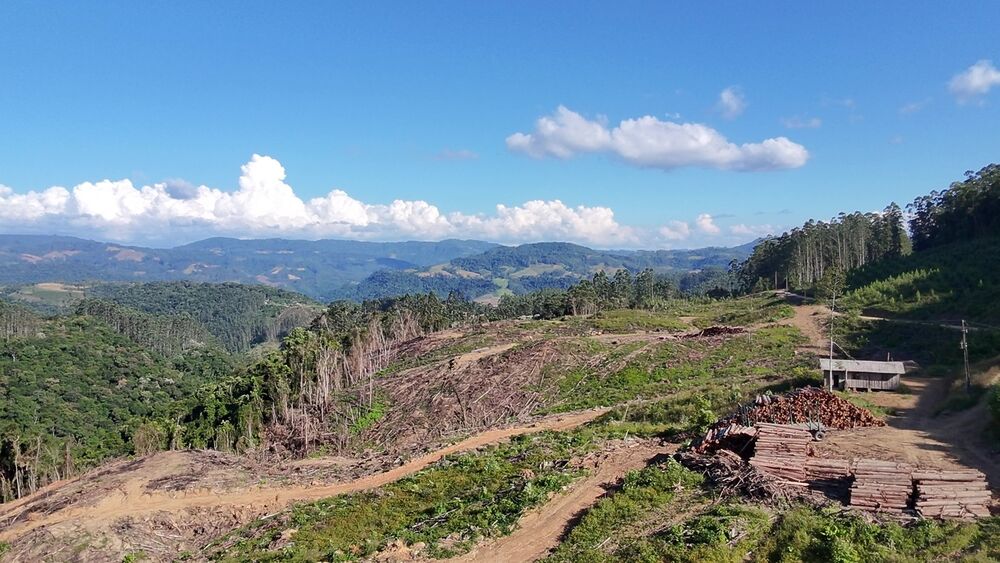 Fazenda, 62 hectares - Foto 1