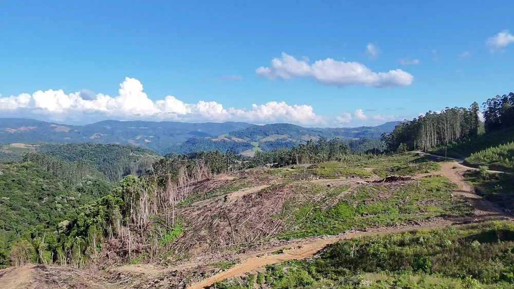 Fazenda, 62 hectares - Foto 10