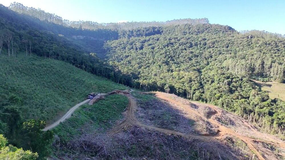 Fazenda, 62 hectares - Foto 7