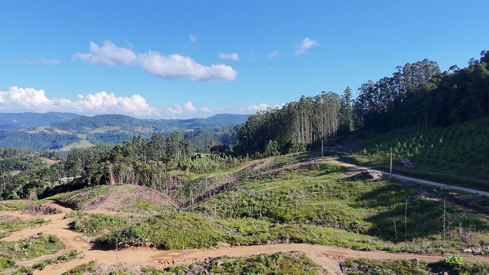 Fazenda, 62 hectares - Foto 3