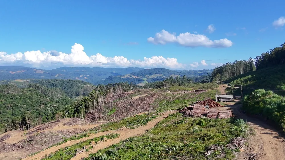 Fazenda, 62 hectares - Foto 12