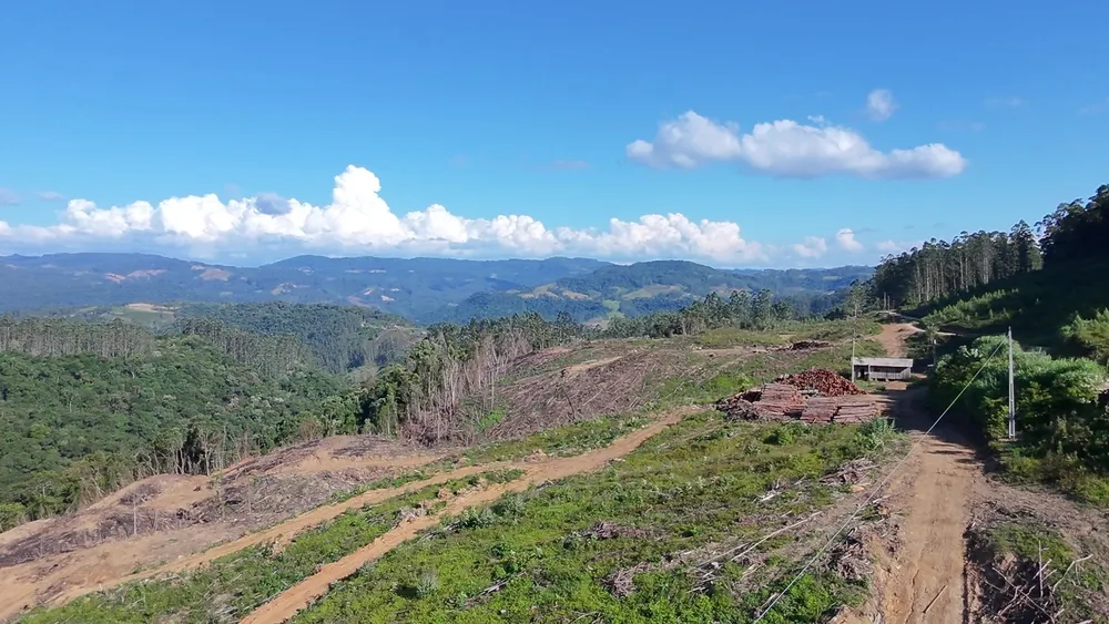 Fazenda, 62 hectares - Foto 11