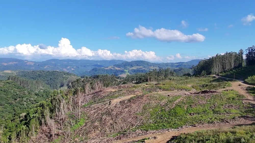 Fazenda, 62 hectares - Foto 8