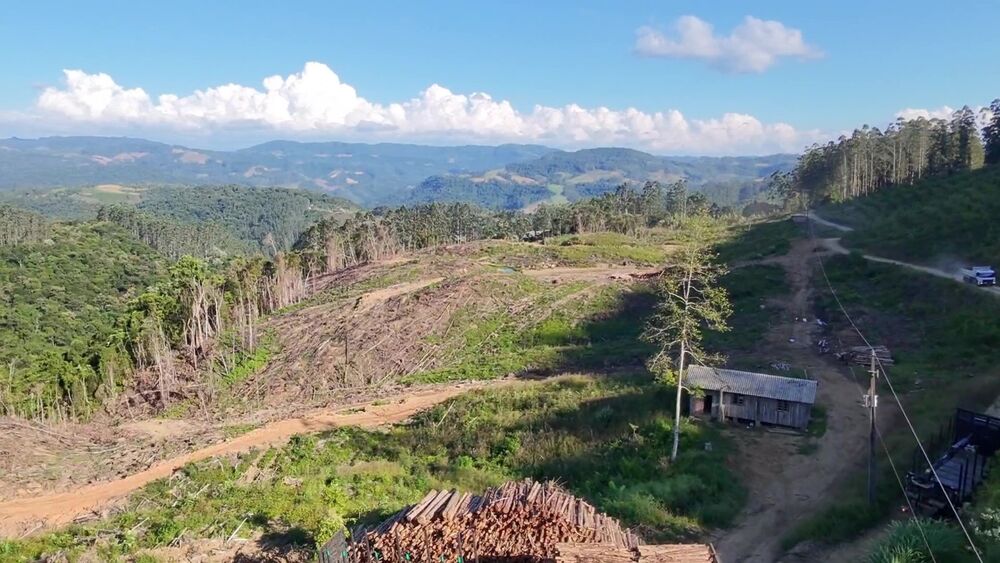 Fazenda, 62 hectares - Foto 4