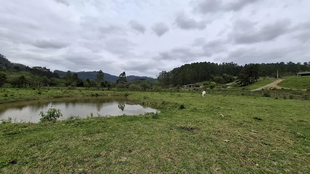 Chácara, 1 quarto, 10000 m² - Foto 9