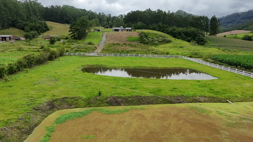 Chácara, 1 quarto, 10000 m² - Foto 7