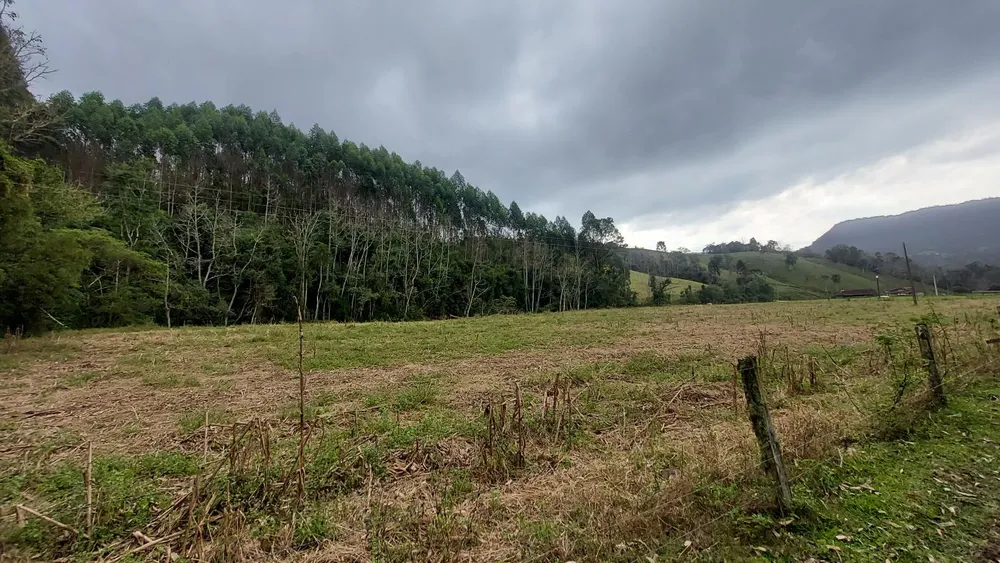 Sítio, 10 hectares - Foto 1