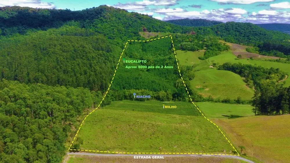 Sítio, 10 hectares - Foto 11