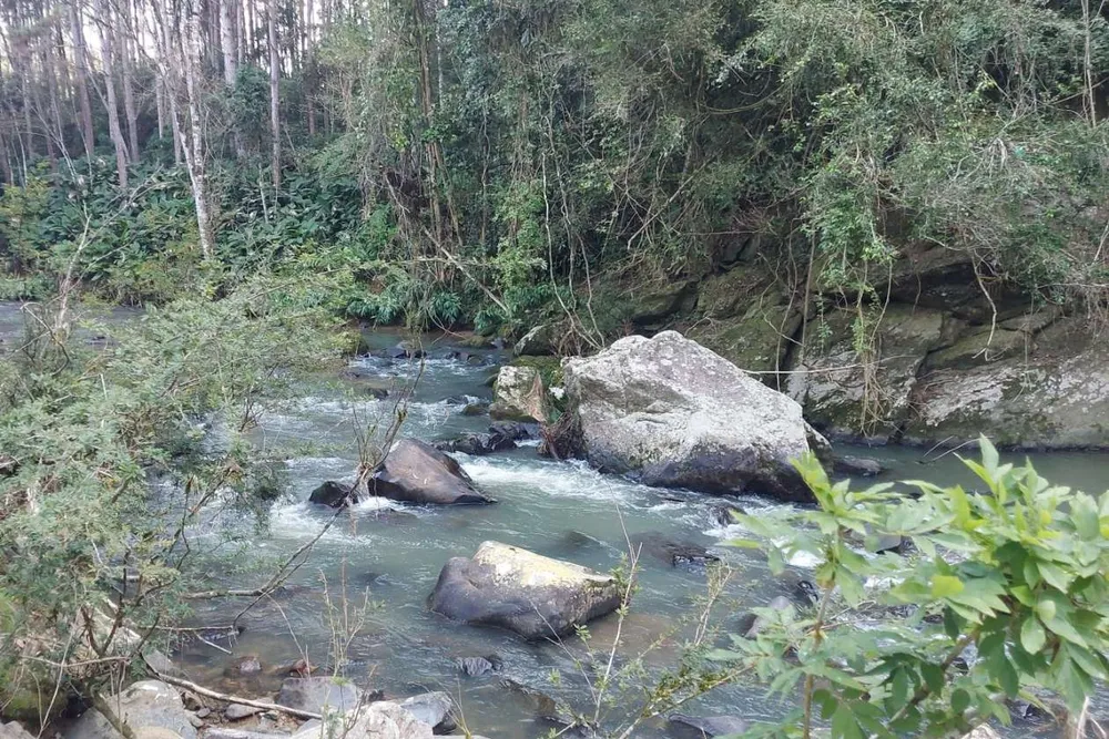 Sítio, 3 quartos, 2 hectares - Foto 4