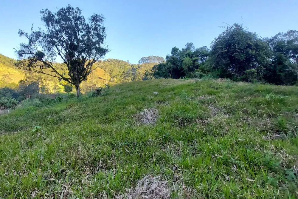 Sítio, 3 quartos, 2 hectares - Foto 7