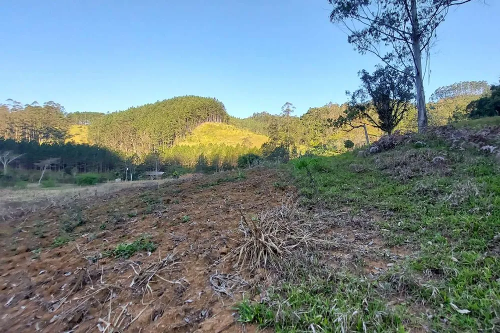 Sítio, 3 quartos, 2 hectares - Foto 6