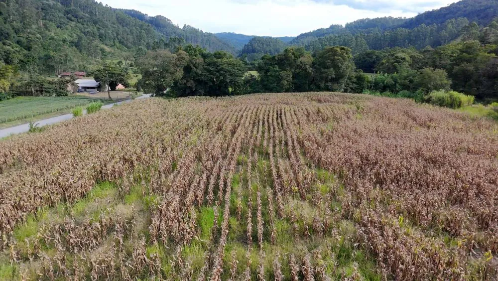 Terreno, 2 hectares - Foto 9